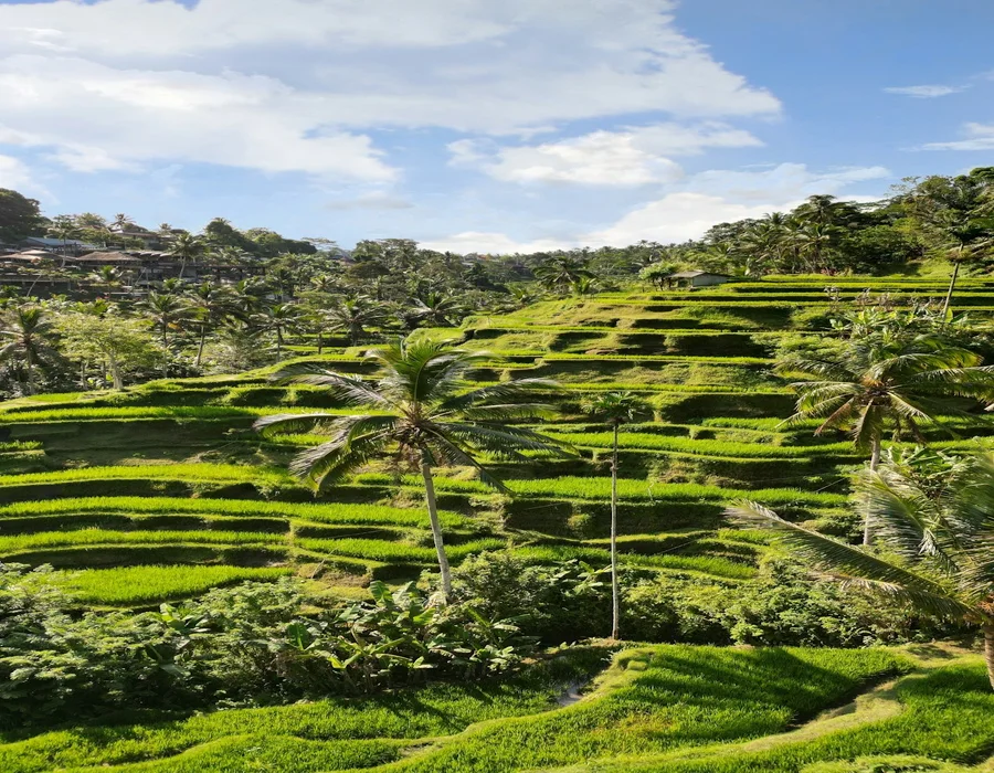 Bali